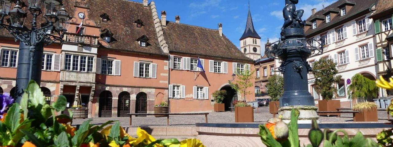 La Curiosite - Appartement 2 Chambres A Barr, Route Des Vins D'Alsace Екстер'єр фото